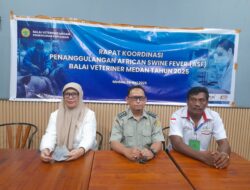 Balai Veteriner Medan bersama Dinas Perkebunan dan Peternakan Pemprovsu Gelar Rakor dengan GPBI untuk Penanggulangan ASF pada Babi