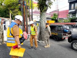 Menyalahi Aturan, Pemko Medan Bongkar Paksa Lahan Parkir Ilegal di Depan Dara Kupi