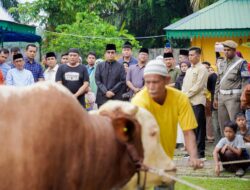 Pemko Medan Himpun 9.635 Hewan Kurban, Wali Kota Tekankan Nilai Keikhlasan