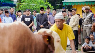 Pemko Medan Himpun 9.635 Hewan Kurban, Wali Kota Tekankan Nilai Keikhlasan