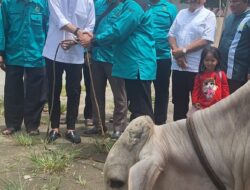 JBMI Salurkan Hewan Kurban di Lima Kabupaten/Kota Sumatera Utara
