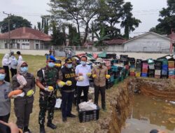 Pemusnahan Buah Mangga Ilegal Asal Thailand Digelar di Medan, Dandenpom I/5 Turut Hadir