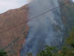 Dolok Sipatungan di Desa Sabulan Terbakar, Warga Khawatir Api Meluas