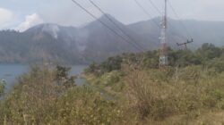 Kebakaran Hutan di Sipatungan Meluas, Publik Soroti Tanggung Jawab Pemerintah