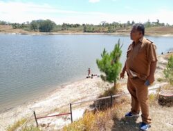 Danau Sidihoni Surut, Camat Ronggur Nihuta: Dampak Kemarau Panjang