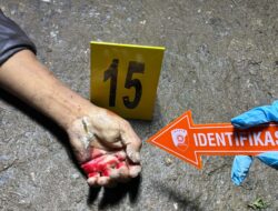 Tersinggung di Warung Tuak, Holong Hutapea Tikam Rekan hingga Tewas