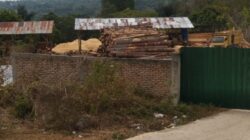 Sawmill di Desa Rianiate Telah Miliki Izin Berbasis Risiko dan Lingkungan