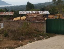 Sawmill di Desa Rianiate Telah Miliki Izin Berbasis Risiko dan Lingkungan