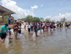 Seminari Menengah Kristus Sacerdos Siantar Tabur 5.000 ekor Bibit Ikan Mas di Danau Toba 
