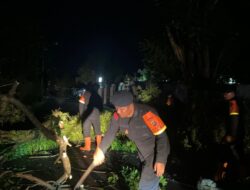 Brimob Polda Sumut Sigap Evakuasi Pohon Tumbang, Wujud Nyata Kehadiran di Tengah Masyarakat Pematangsiantar