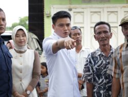 Bung RA Minta Pemkab Langkat Selesaikan Peremajaan Pohon Perindang