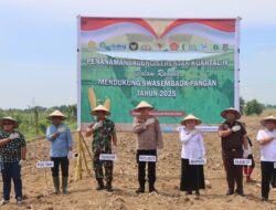 Polresta Deli Serdang Gelar Kegiatan Penanaman Jagung Serentak Kuartal IV Guna Tingkatkan Swasembada Pangan