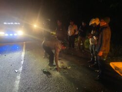 Truck Colt Diesel Hantam Pengendara Motor, Tiga Kakak Beradik Tewas