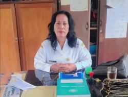 Pelaksanaan Revitalisasi SD Negeri 173311 Siborongborong Sesuai Juknis dan Juklak