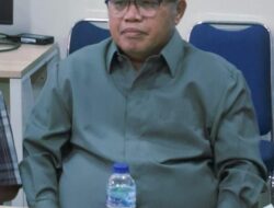 Status Bencana Nasional, Di Mana Peran BNPB