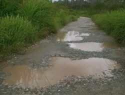 Jalan Hutabaru Batunadua–Lumban Sinaga Pangaribuan Rusak Parah, Kubangan Air Ancam Keselamatan Warga