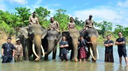 JGN Aceh Desak Keterbukaan Informasi Penyebab Kamatian Gajah Ratna di Rahmat Zoo And Park Sumut