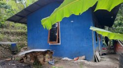 𝗣𝗼𝗹𝗶𝘀𝗶 𝗧𝗮𝗸 𝗟𝗮𝗸𝘂𝗸𝗮𝗻 𝗙𝗼𝗿𝗲𝗻𝘀𝗶𝗸 𝗗𝗶𝗴𝗶𝘁𝗮𝗹, 𝗛𝗣 𝗣𝗲𝗹𝗮𝗷𝗮𝗿 𝗧𝗲𝘄𝗮𝘀 𝗱𝗶 𝗦𝗮𝗺𝗼𝘀𝗶𝗿 𝗧𝗮𝗸 𝗣𝗲𝗿𝗻𝗮𝗵 𝗗𝗶𝗯𝘂𝗸𝗮