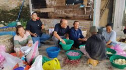 Ketua Yayasan Bisukma Dorong UMKM Pertanian di Siborongborong Selaras Program Pemerintah