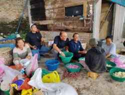 Ketua Yayasan Bisukma Dorong UMKM Pertanian di Siborongborong Selaras Program Pemerintah