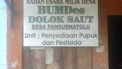 Penyertaan Modal Rp182 Juta, BUMDes Dolok Saut Tanam Kentang, Hasil Disebut Hanya Rp10 Juta