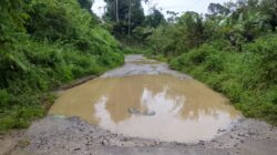 Jalan Penghubung Empat Desa di Pakkat Rusak Parah, Warga Resah