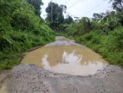 Jalan Penghubung Empat Desa di Pakkat Rusak Parah, Warga Resah