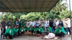 Idul Adha dan Semangat Berbagi, Bank Sumut Salurkan Ratusan Paket Daging Kurban untuk Masyarakat