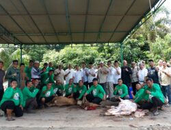 Idul Adha dan Semangat Berbagi, Bank Sumut Salurkan Ratusan Paket Daging Kurban untuk Masyarakat