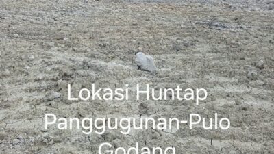 Lokasi Huntap Korban Longsor Dolok Pinapan Mangkrak, Pemkab Humbahas Dituding Abai