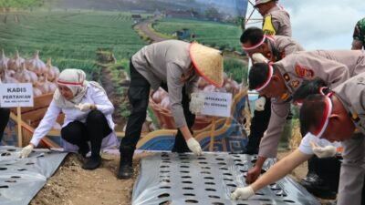 Polresta Deli Serdang Tanam Bawang Putih Serentak Dukung Swasembada Pangan 2026
