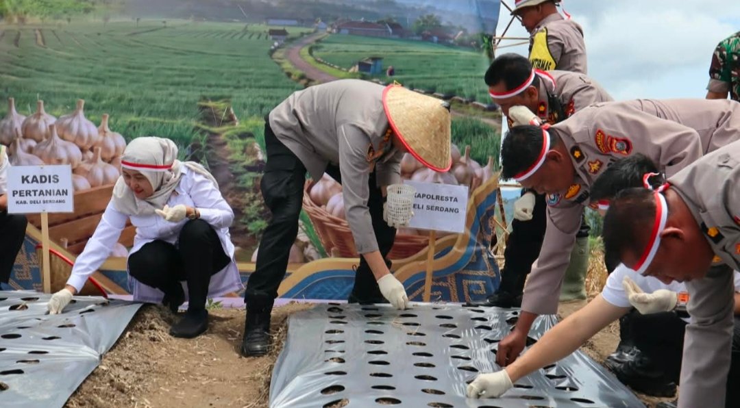 dukungan nyata dan berkelanjutan Polri terhadap program strategis pemerintah dalam mewujudkan swasembada pangan nasional tahun 2026. Kapolresta Deli Serdang Kombes Pol Hendria Lesmana hadir langsung b
