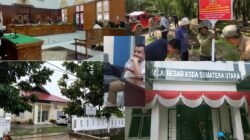 Kasi Intel Kejari Langkat Tak Tahu Akuang Kabur Juga Taktahu di Lahan Sitaan Masih Dipanen