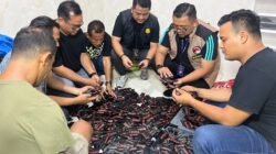 Kedok Bengkel, Polisi Bongkar Gudang Narkoba Percut Sei Tuan : 1152 Pot Getar Ditemukan
