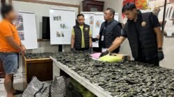 Gerebek Malam, Gudang Pinang di Sei Mencirim Jadi Gudang Narkoba Rp10 Miliar