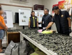 Gerebek Malam, Gudang Pinang di Sei Mencirim Jadi Gudang Narkoba Rp10 Miliar